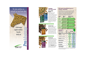 Progressive Nutrition brochure